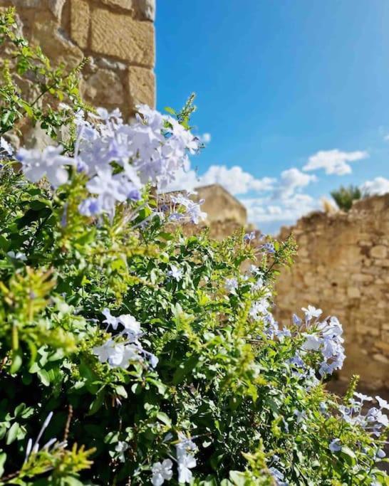 Casa Al Plumbago Vila Termini Imerese Exterior foto